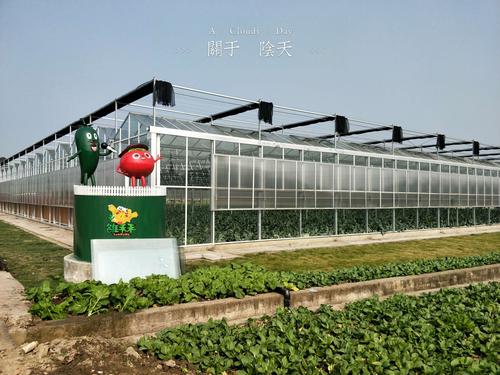 众扶慈善基金会理事长柏鹤一行莅临我公司考察指导中药材种植项目